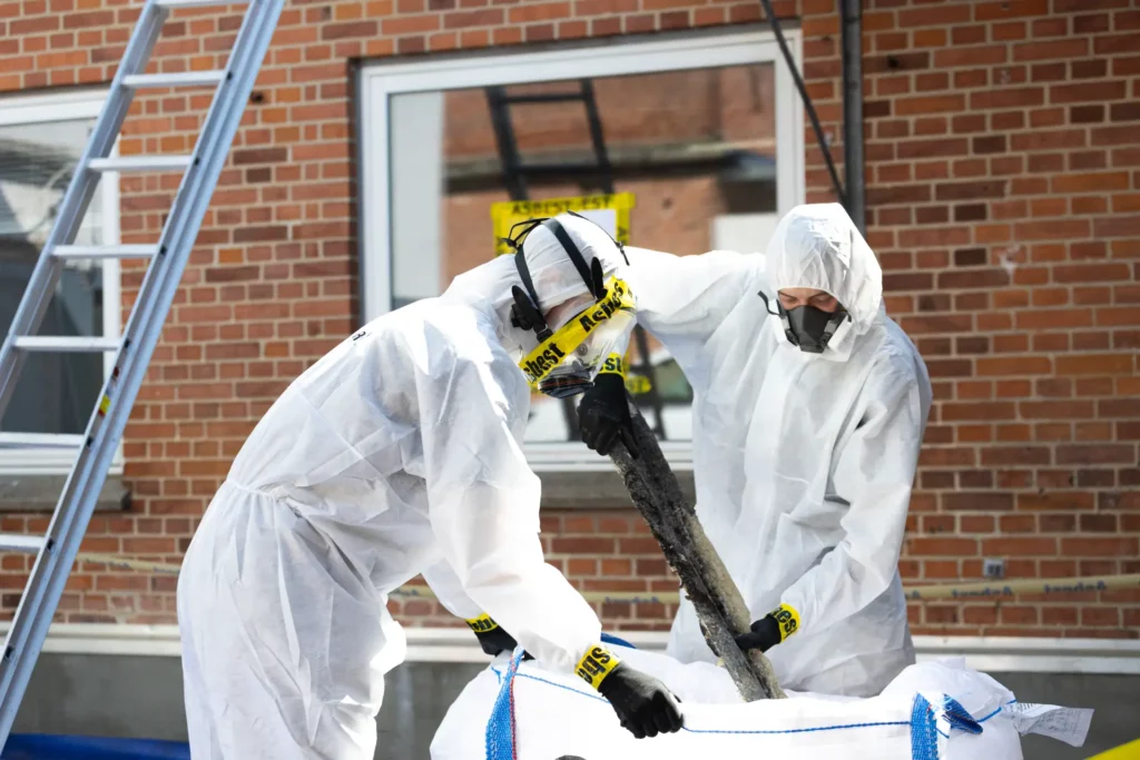 asbestos removal in North Zealand